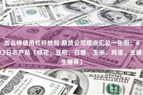 怎么样使用杠杆炒股 期货公司观点汇总一张图：4月23日农产品（棉花、豆粕、白糖、玉米、鸡蛋、生猪等）