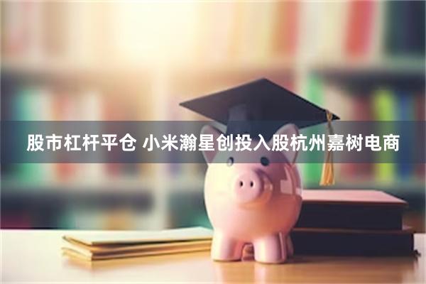 股市杠杆平仓 小米瀚星创投入股杭州嘉树电商