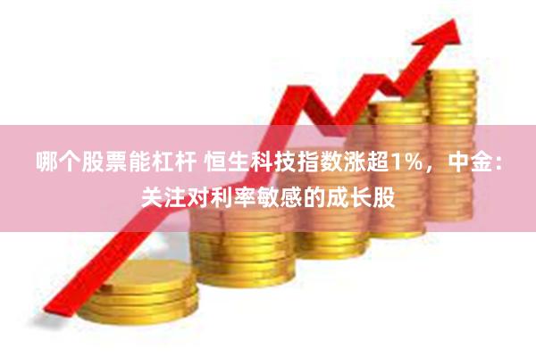 哪个股票能杠杆 恒生科技指数涨超1%，中金：关注对利率敏感的成长股