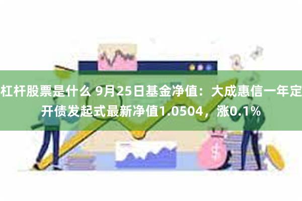 杠杆股票是什么 9月25日基金净值：大成惠信一年定开债发起式最新净值1.0504，涨0.1%