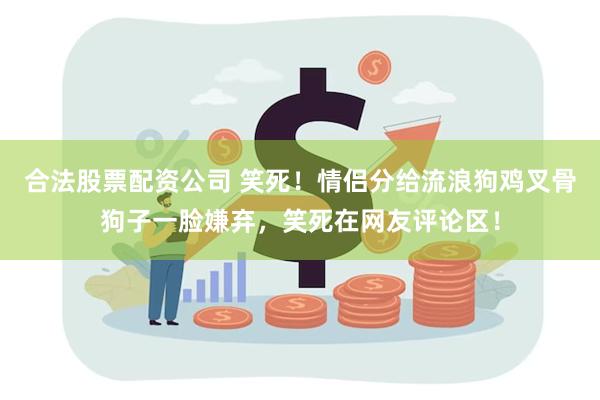 合法股票配资公司 笑死！情侣分给流浪狗鸡叉骨狗子一脸嫌弃，笑死在网友评论区！