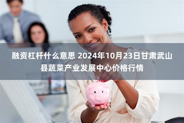 融资杠杆什么意思 2024年10月23日甘肃武山县蔬菜产业发展中心价格行情