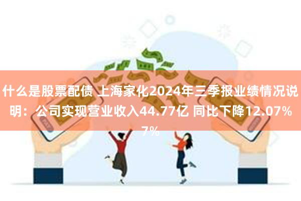 什么是股票配债 上海家化2024年三季报业绩情况说明：公司实现营业收入44.77亿 同比下降12.07%