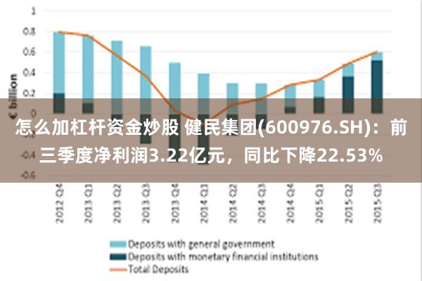 怎么加杠杆资金炒股 健民集团(600976.SH)：前三季度净利润3.22亿元，同比下降22.53%