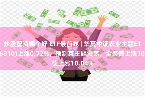 炒股配资哪个好 ETF最前线 | 华夏中证农业主题ETF(516810)上涨0.72%，预制菜主题震荡，全聚德上涨10.04%