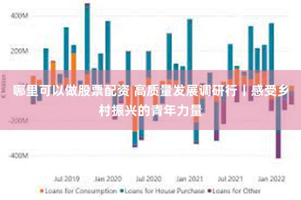 哪里可以做股票配资 高质量发展调研行丨感受乡村振兴的青年力量