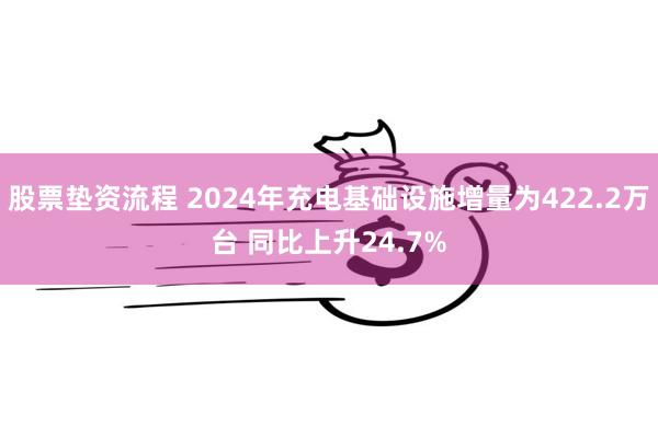 股票垫资流程 2024年充电基础设施增量为422.2万台 同比上升24.7%