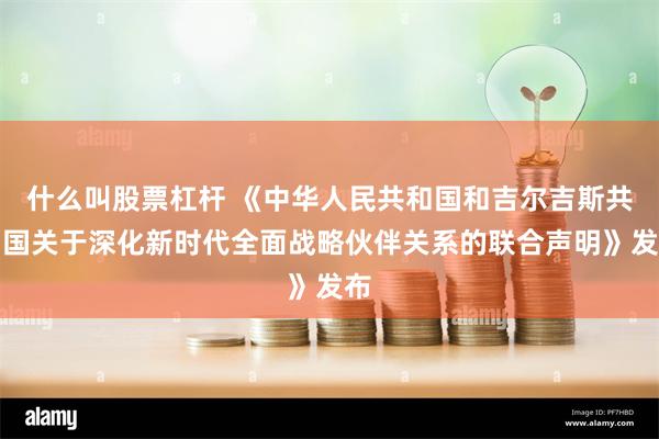 什么叫股票杠杆 《中华人民共和国和吉尔吉斯共和国关于深化新时代全面战略伙伴关系的联合声明》发布