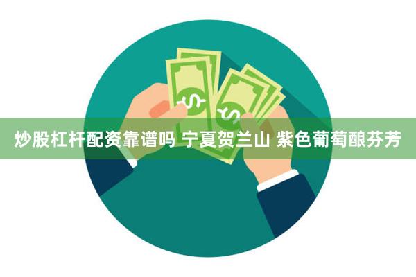 炒股杠杆配资靠谱吗 宁夏贺兰山 紫色葡萄酿芬芳